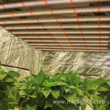 Indoor Full Spectrum 1200W Led Grow Light